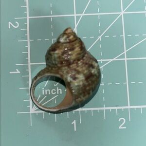 Unique Green Shell Ring